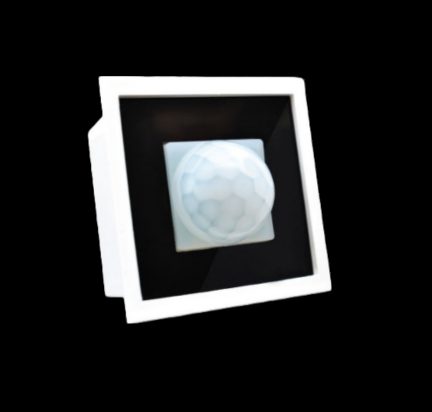 Motion Sensor